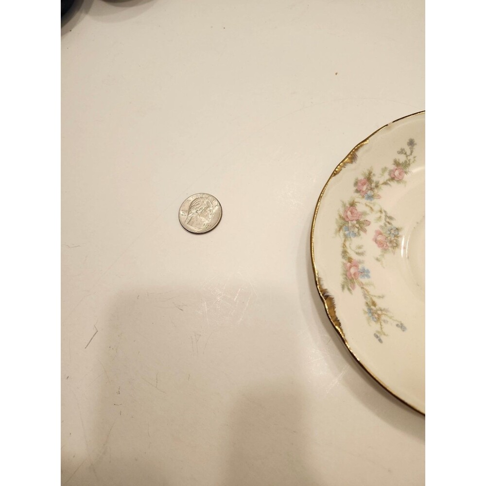 Taylor Smith Taylor Co. Premier Floral Saucer Decorative Saucer Gold Trim